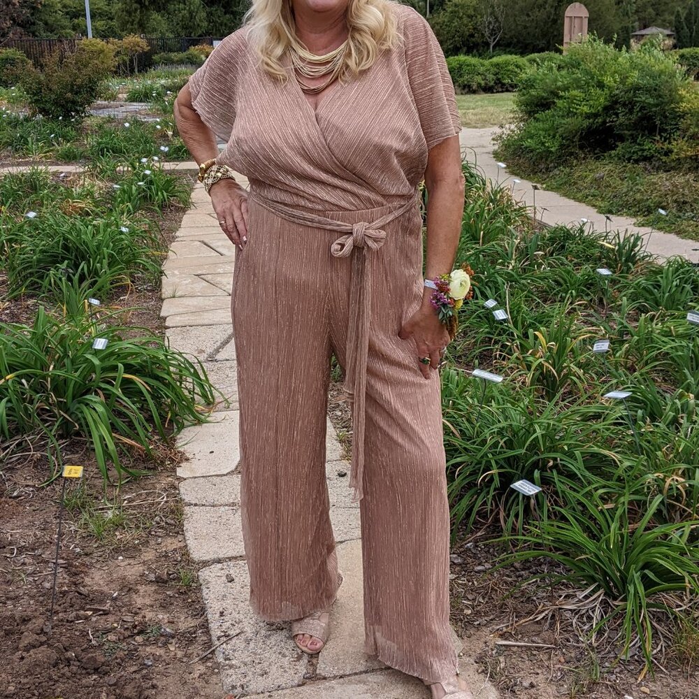 Adrianna Papell Mesh Metallic Jumpsuit Size 16W Mother of the Bride Pantsuit